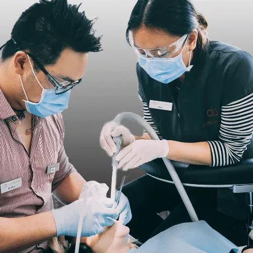 Dental Check Ups & Cleaning